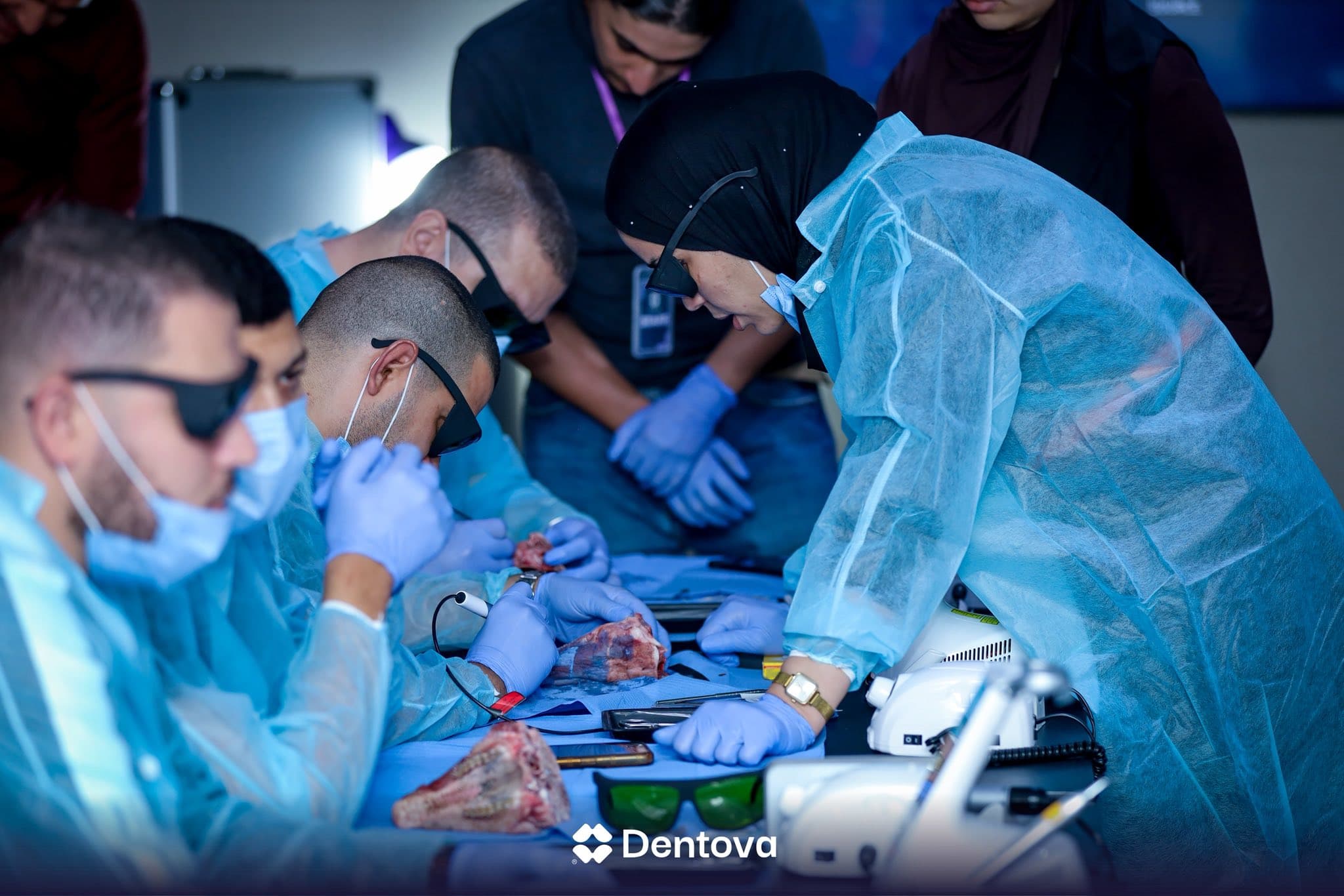 Session de formation Dentova en cours